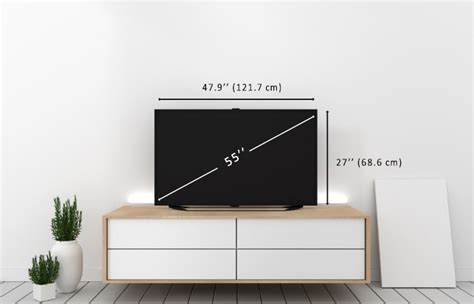 ups for 55 inch tv.